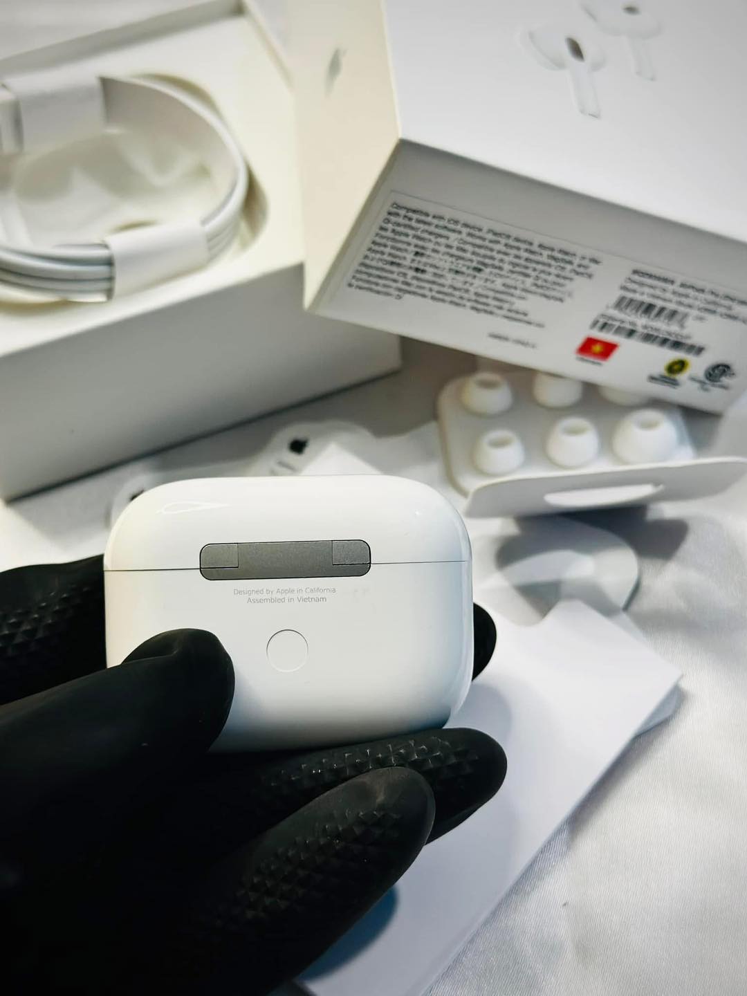 486577280_1074579864710222_1138416136334924107_n